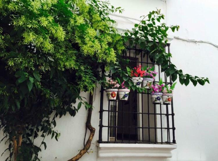 In Old Town Appartement *