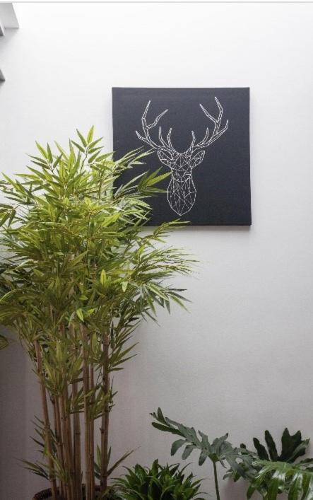 Apartment In Old Town Marbella